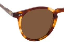 CO Optical Caspar 2060 002 Havana -Oakley Soldes Boutique 6674817 f