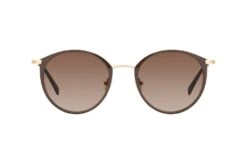 CO Optical Reeves 2000 H21 Brown / Gold -Oakley Soldes Boutique 6815075 d