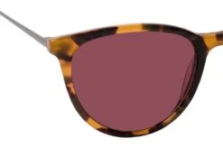 Aspect By Mister Spex Chasey 2239 R21 Colored Havana / Gunmetal 9 Aspect By Mister Spex Chasey 2239 R21 Colored Havana / Gunmetal -Oakley Soldes Boutique 6827852 f