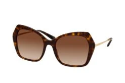 Dolce & Gabbana Dolce&Gabbana DG 4399 502/13 HAVANA
